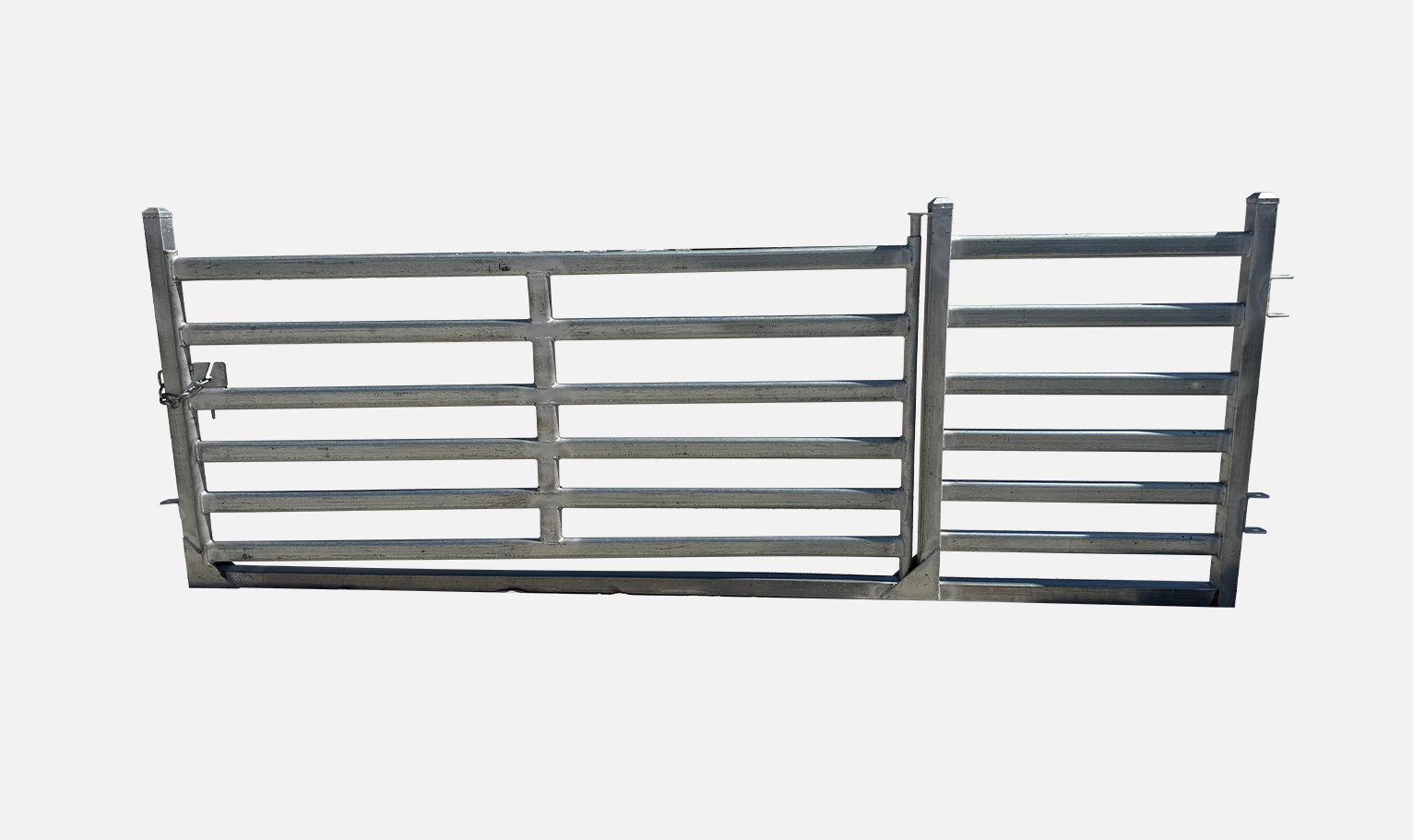 60x30 sheep man gate in panel 2.9