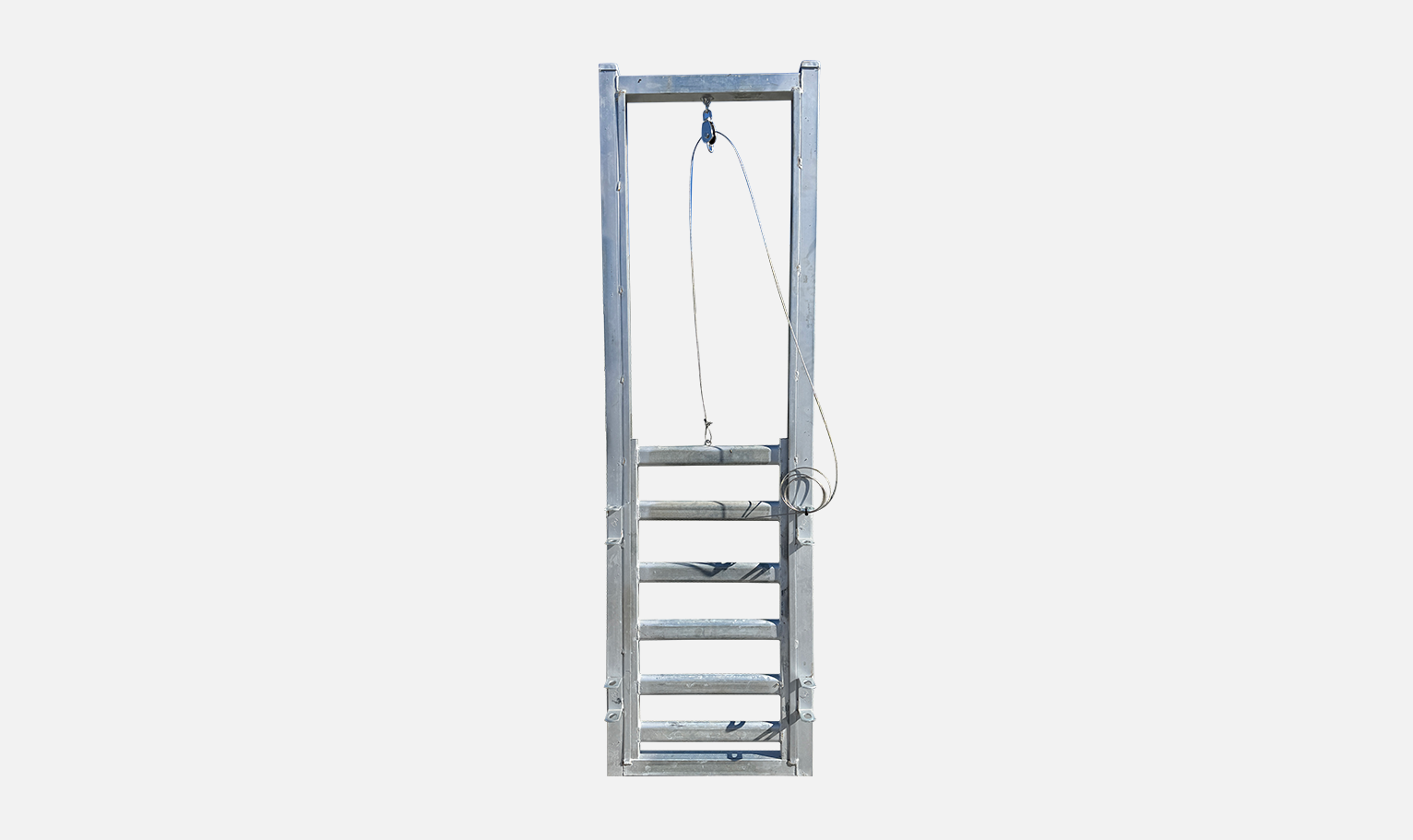 sheep guillotine gate